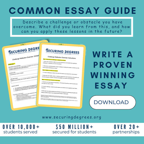 Essay Bundle